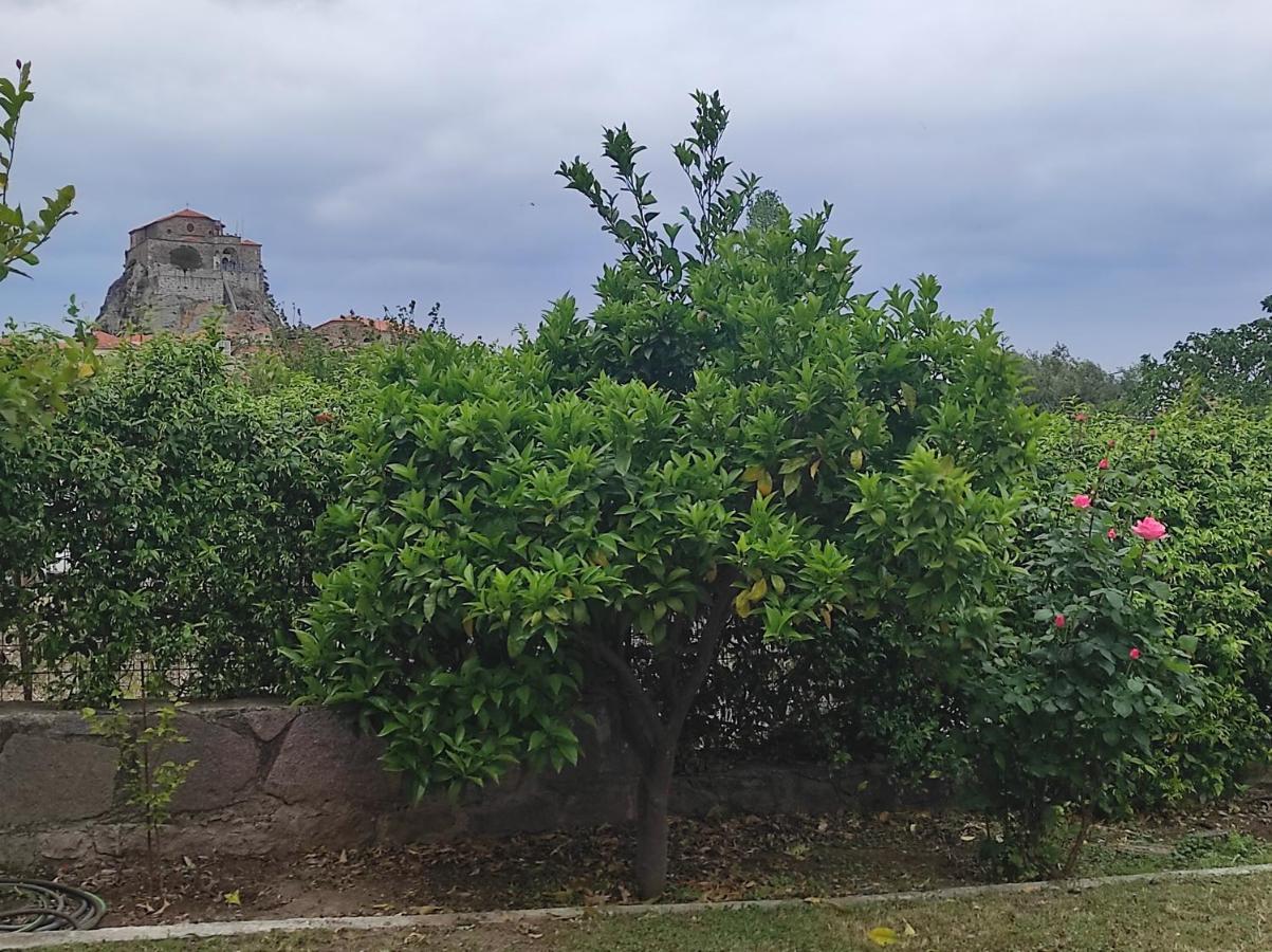 Willa Petra House Zewnętrze zdjęcie